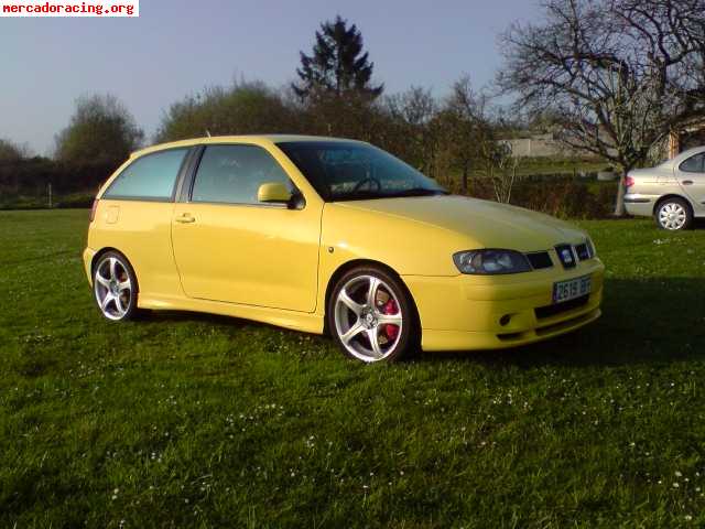 Seat ibiza cupra 2001