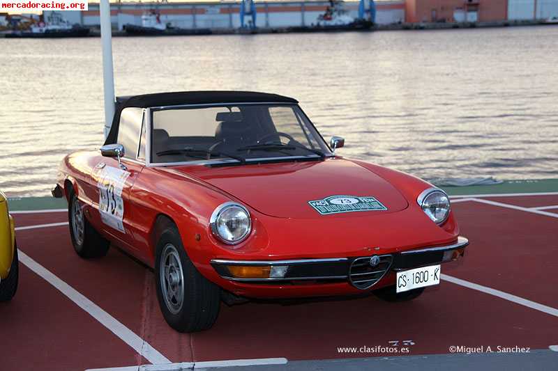 Alfa spider veloce