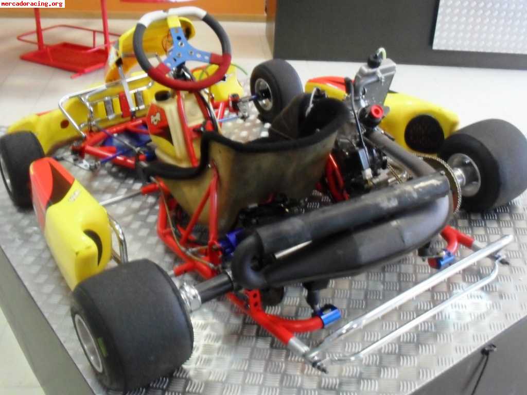 Cambio kart pcr rotax max fr 125 cc