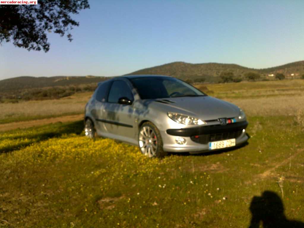 Peugeot 206 gti