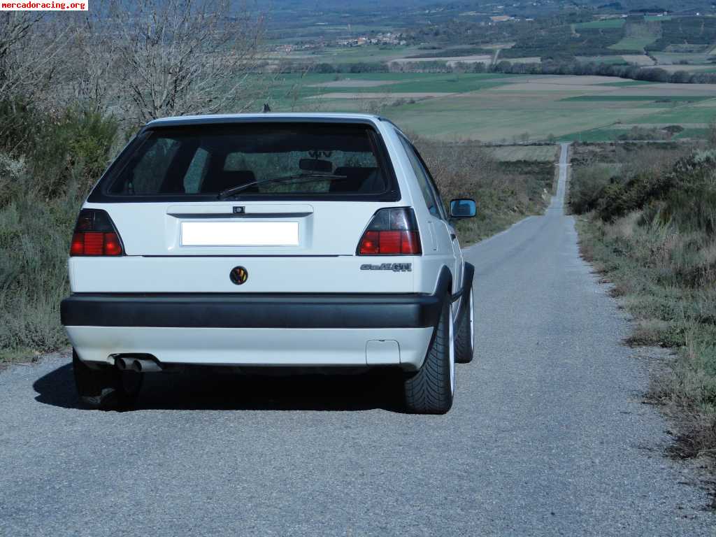 Volkswagen - golf ii gti 8v pb