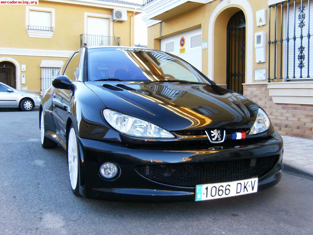 Peugeot 206 rc  (180 cv) kit wrc .