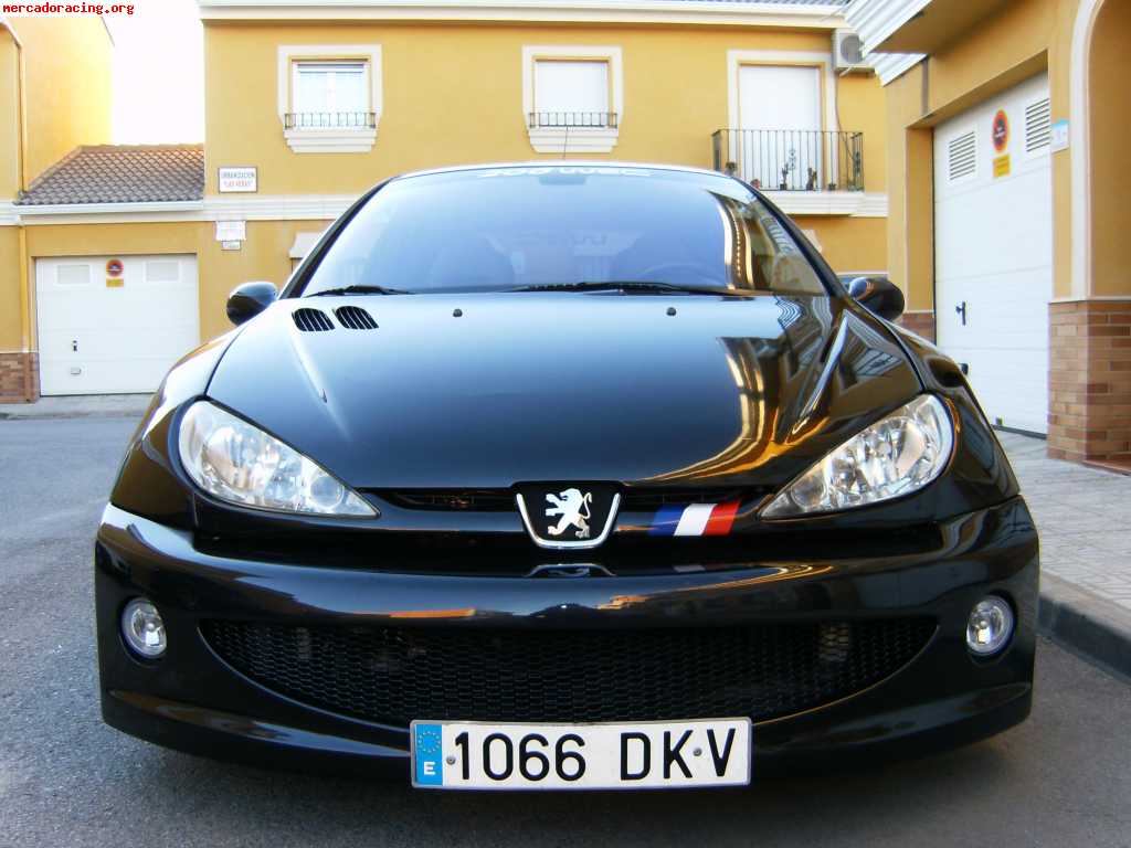 Peugeot 206 rc  (180 cv) kit wrc .