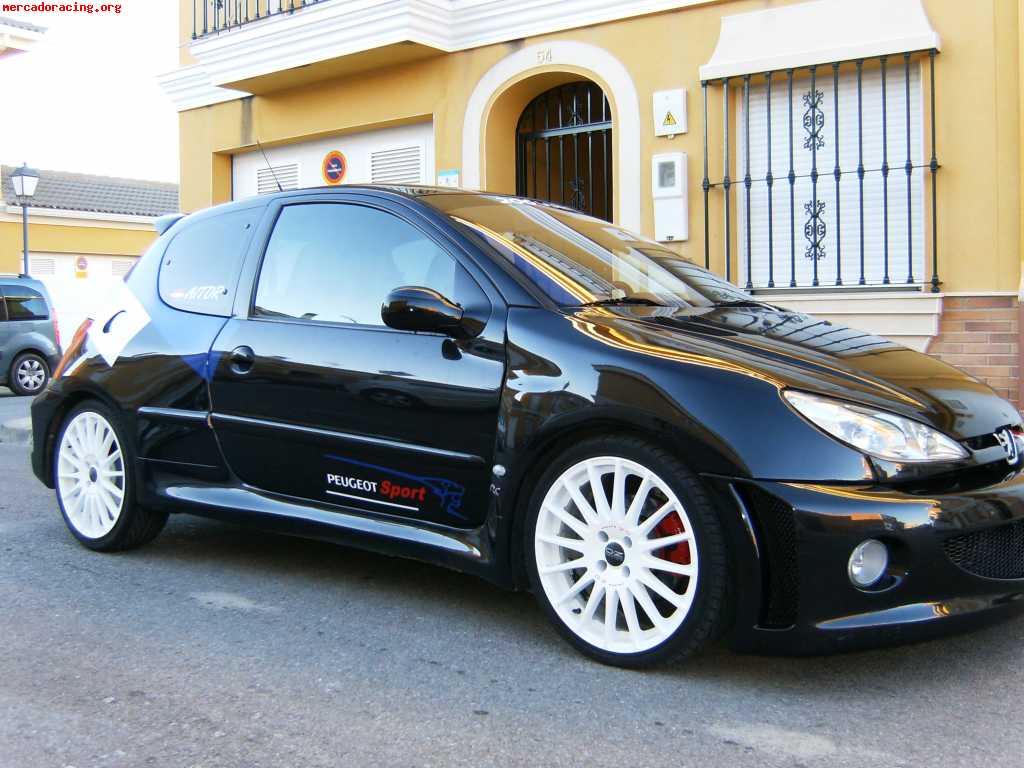 Peugeot 206 rc  (180 cv) kit wrc .