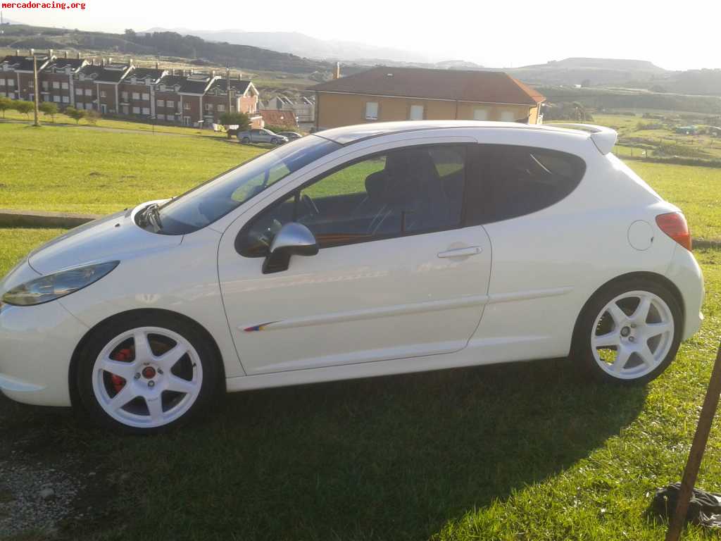 Se vende peugeot 207 rc