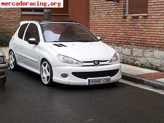 Peugeot 206 gti 2.0