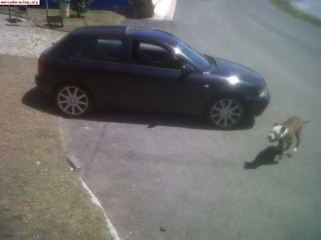 Se vende o se cambia audi a3 1.8t 180cv