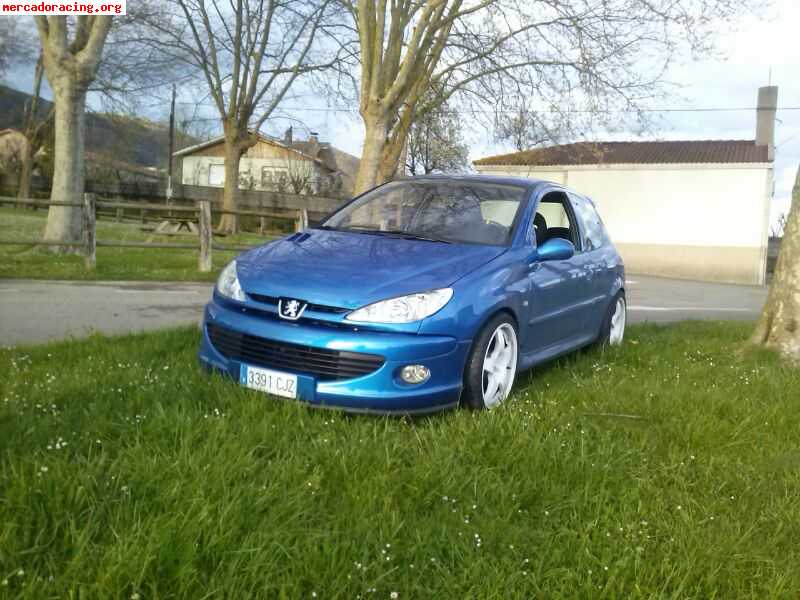 Se vende 206