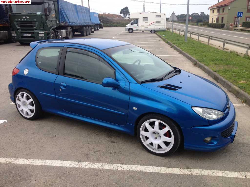 Peugeot 206 xs 1.4 16v 90cv 2005 muchos extras