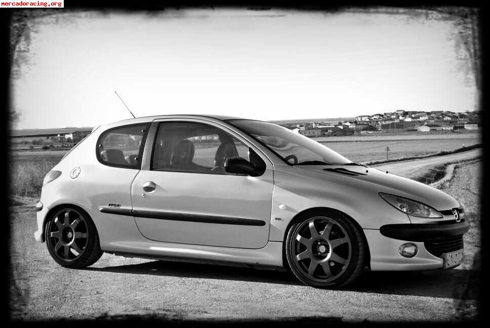 Peugeot - 206 gti