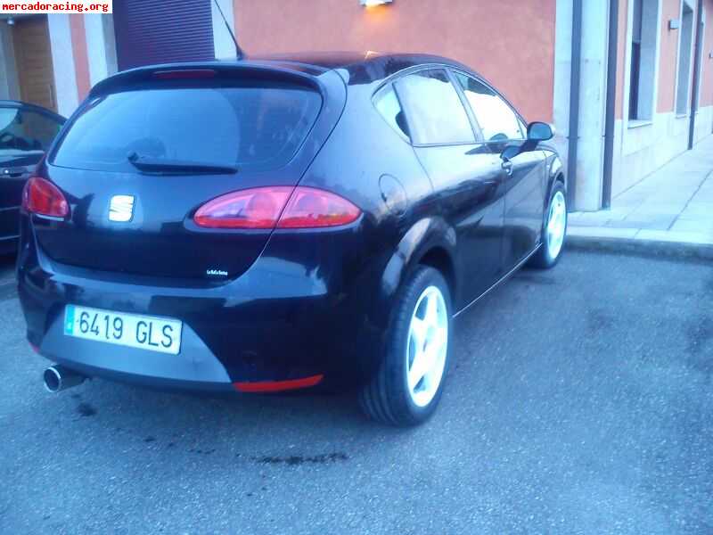 Seat leon 2   1.9 tdi (105 cv)