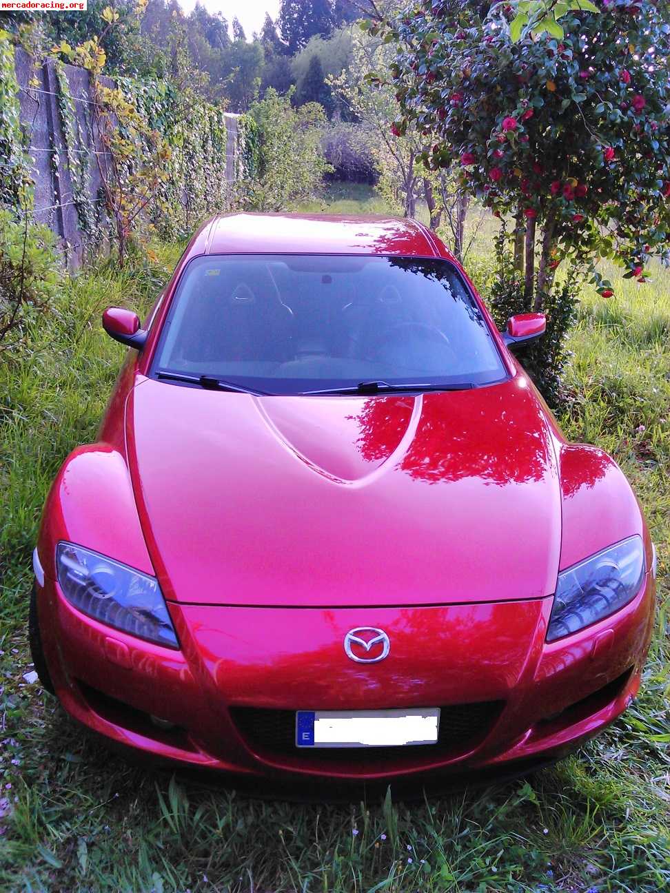 Mazda rx8 231cv año 2006 7500€ a coruña 100.000km rojo.