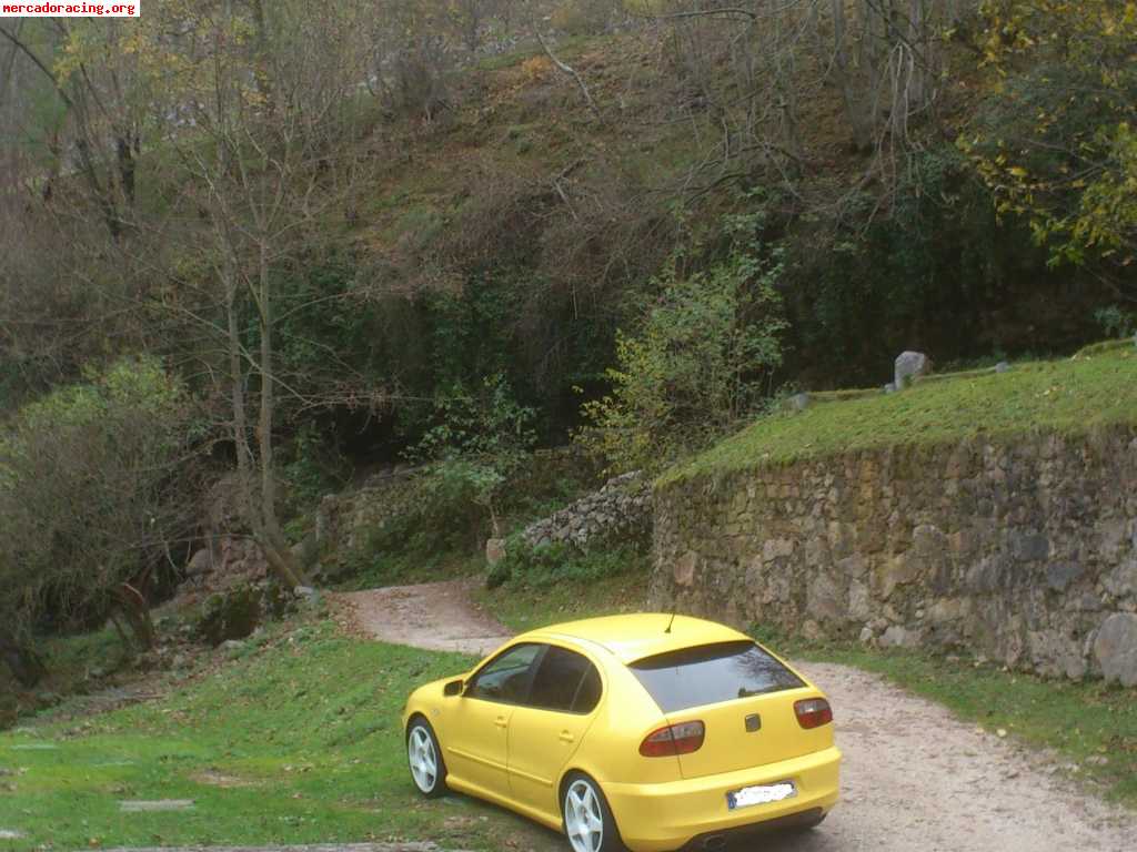 Seat leon fr tdi 1.9 150cv
