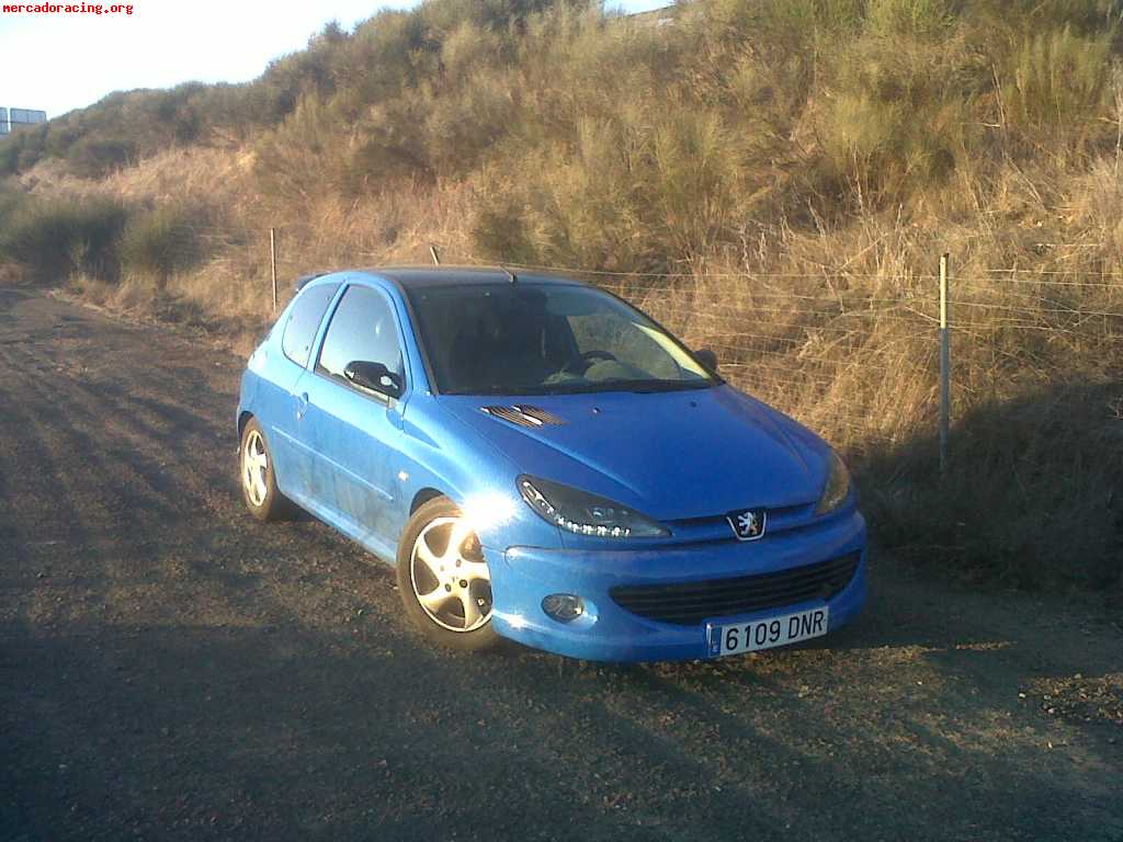 Peugeot 206 gti