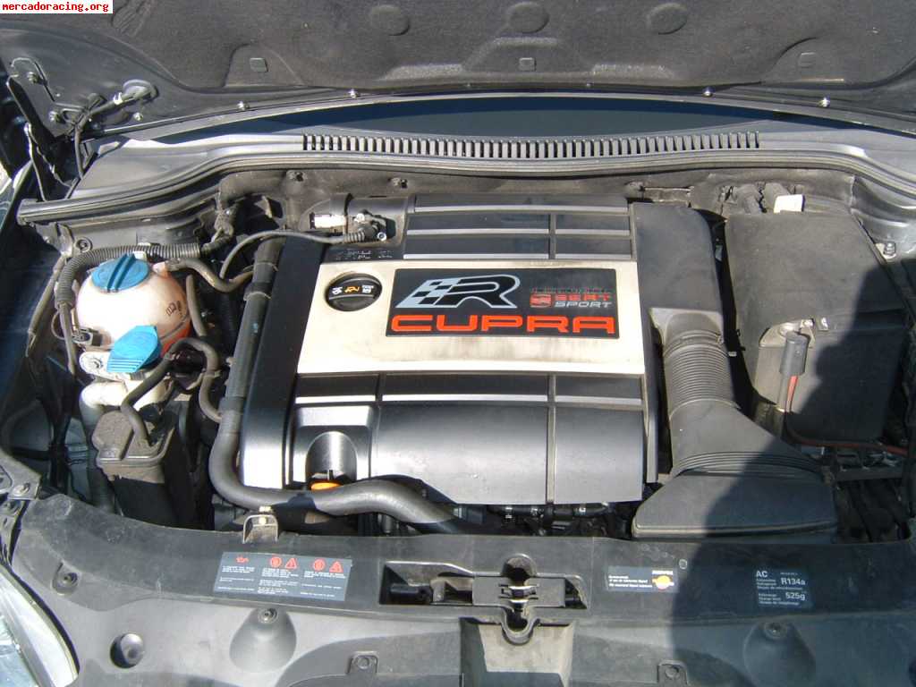 Seat leon cupra r