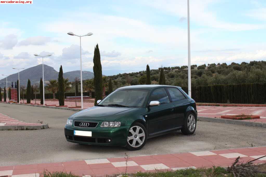 Audi s3 8l 210cv 