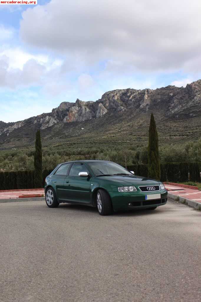 Audi s3 8l 210cv 