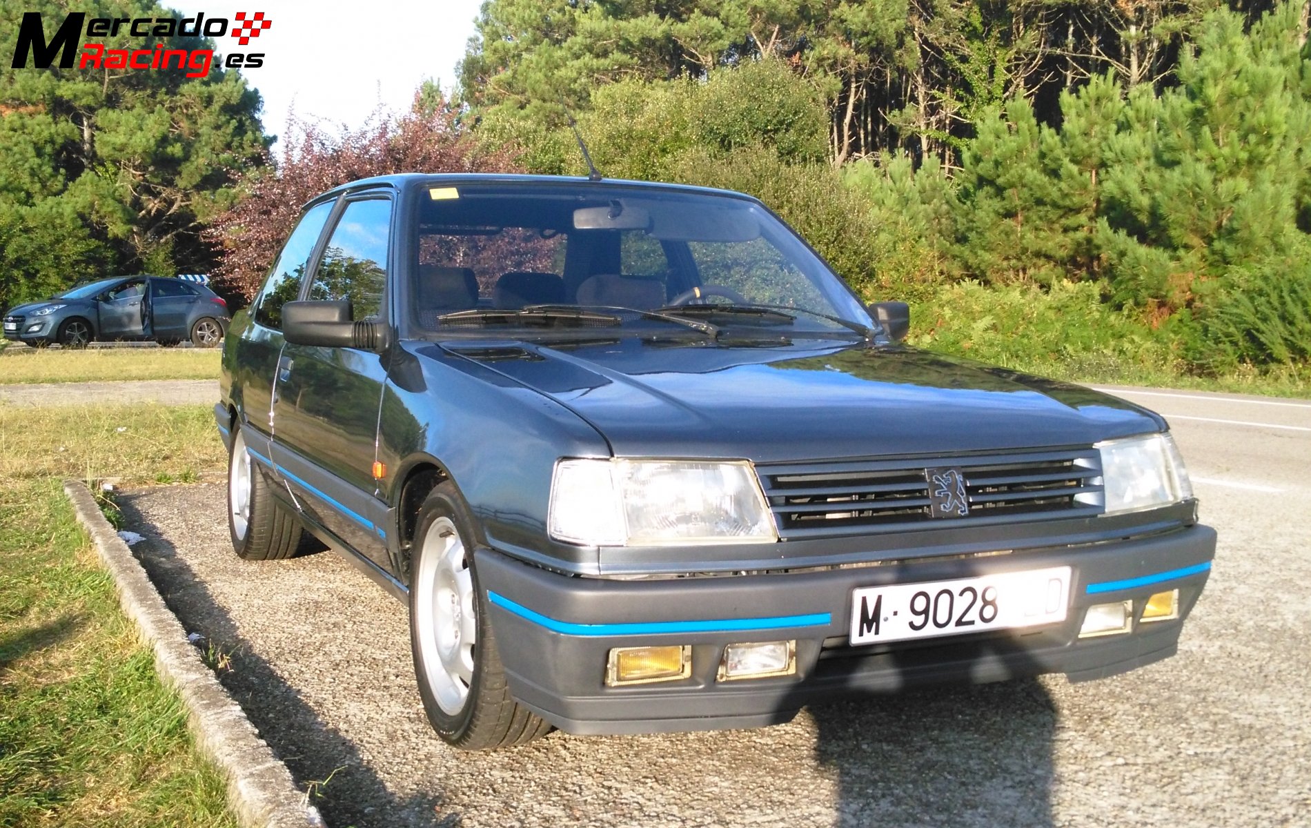 Peugeot 309 gti 16v