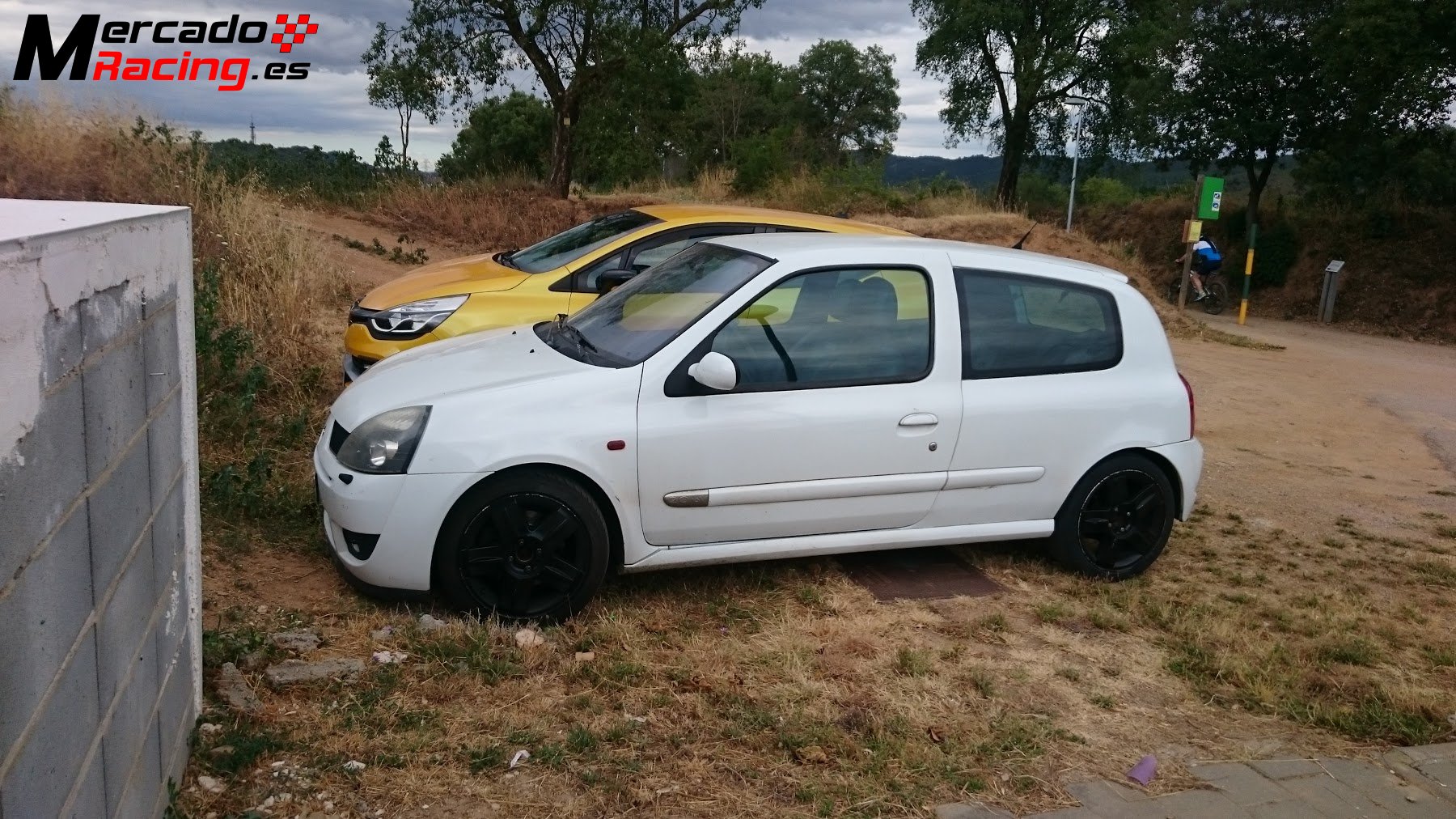 Clio sport 172 cv