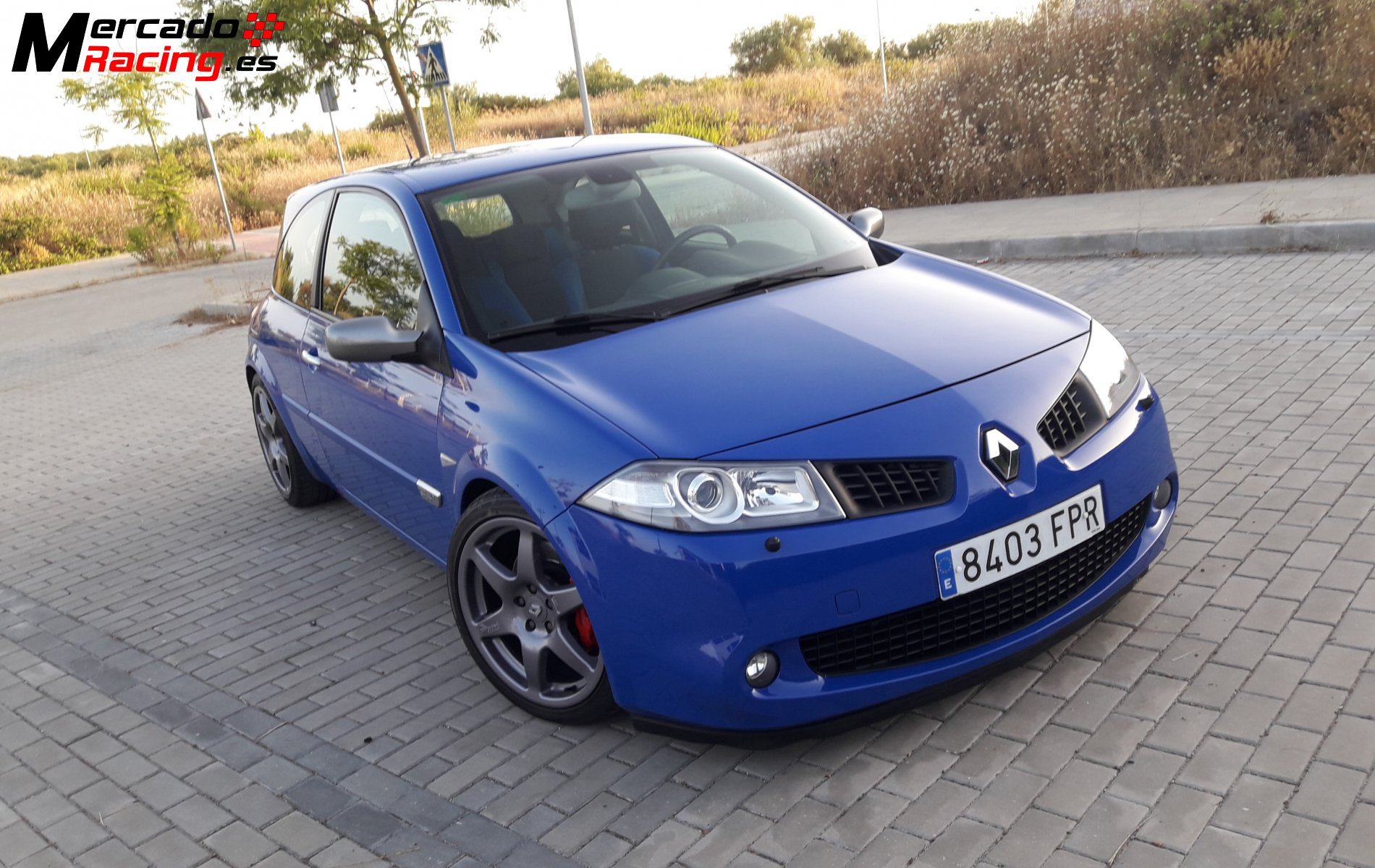 Renault megane sport chasis cup