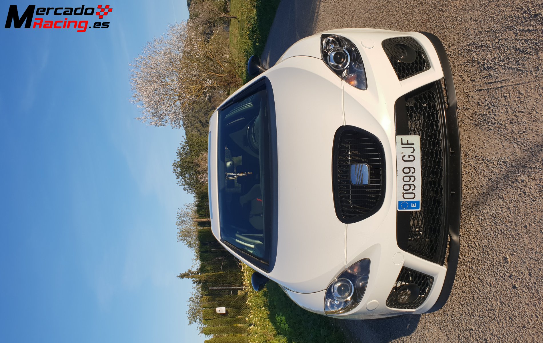 Seat león cupra