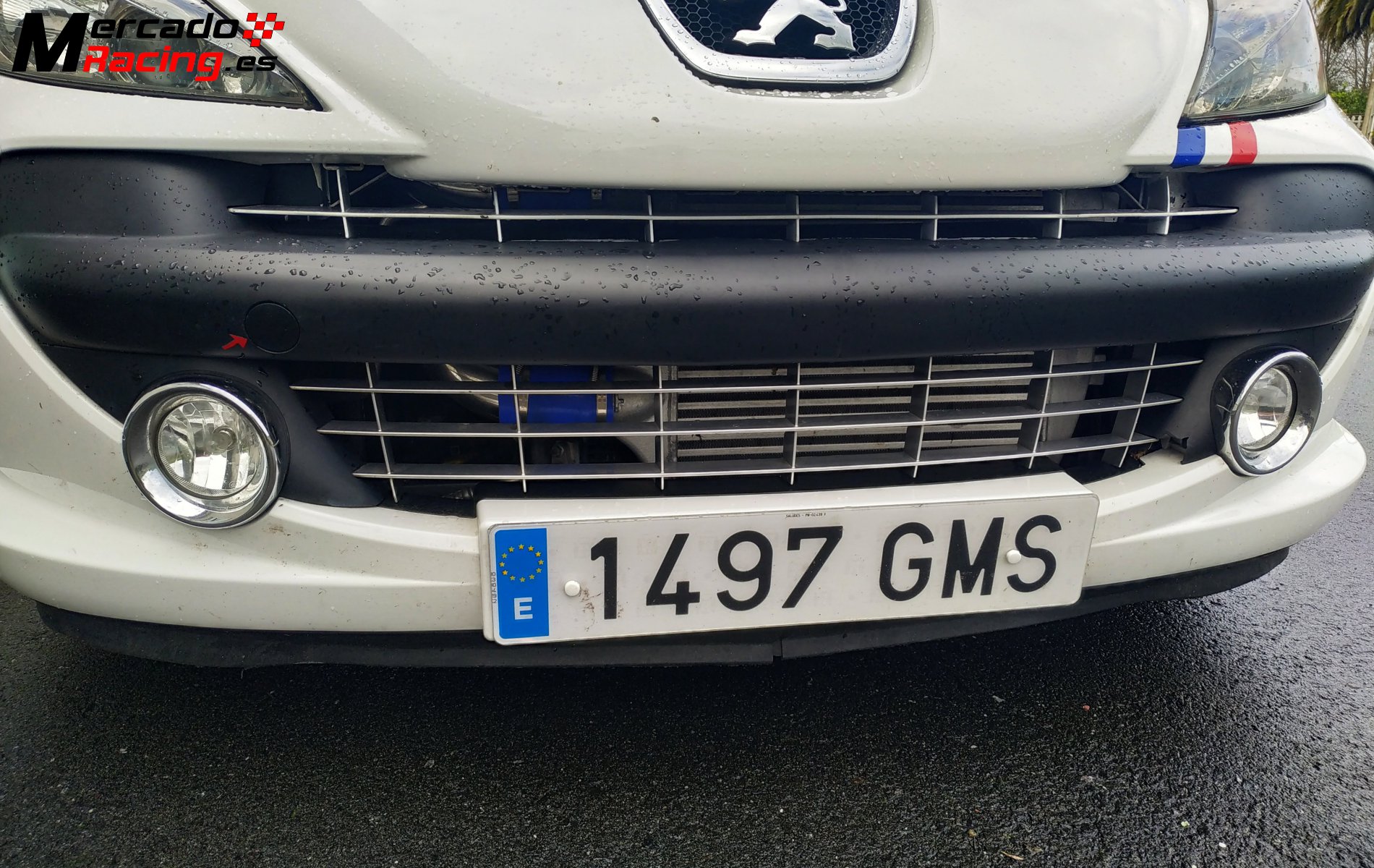 Peugeot 207 rc