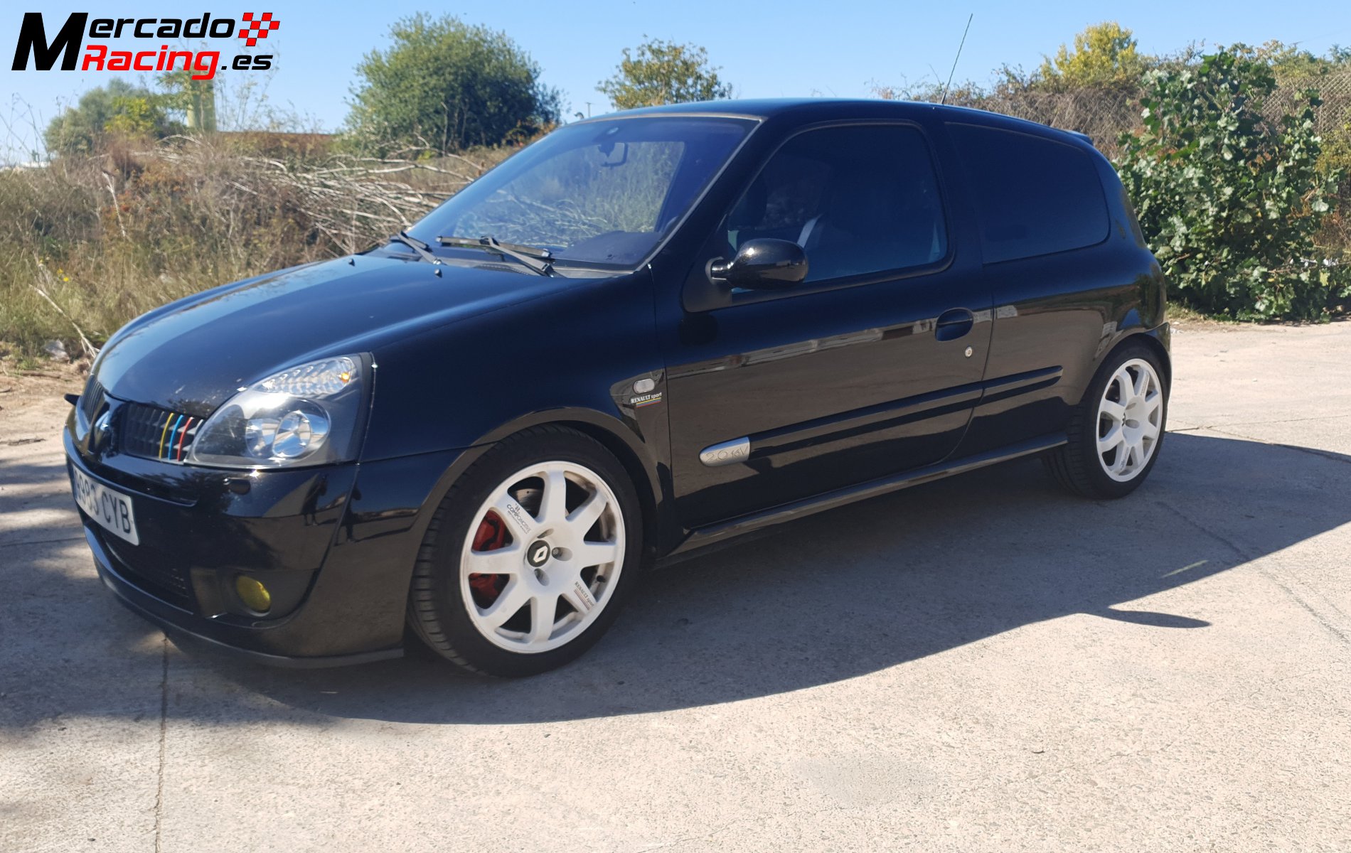 Renault clio 182 cup
