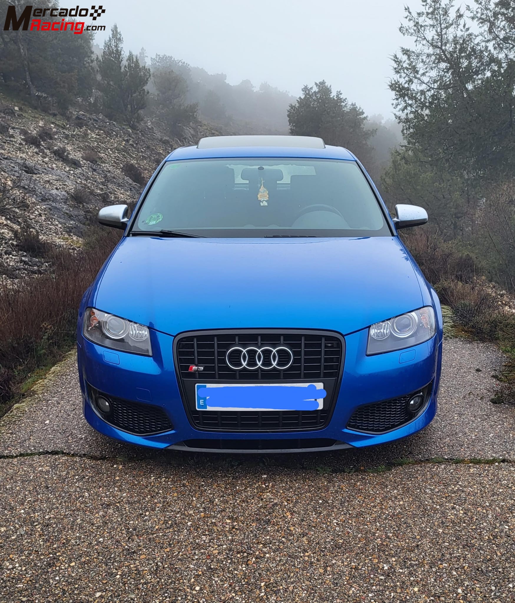 Audi s3 320cv