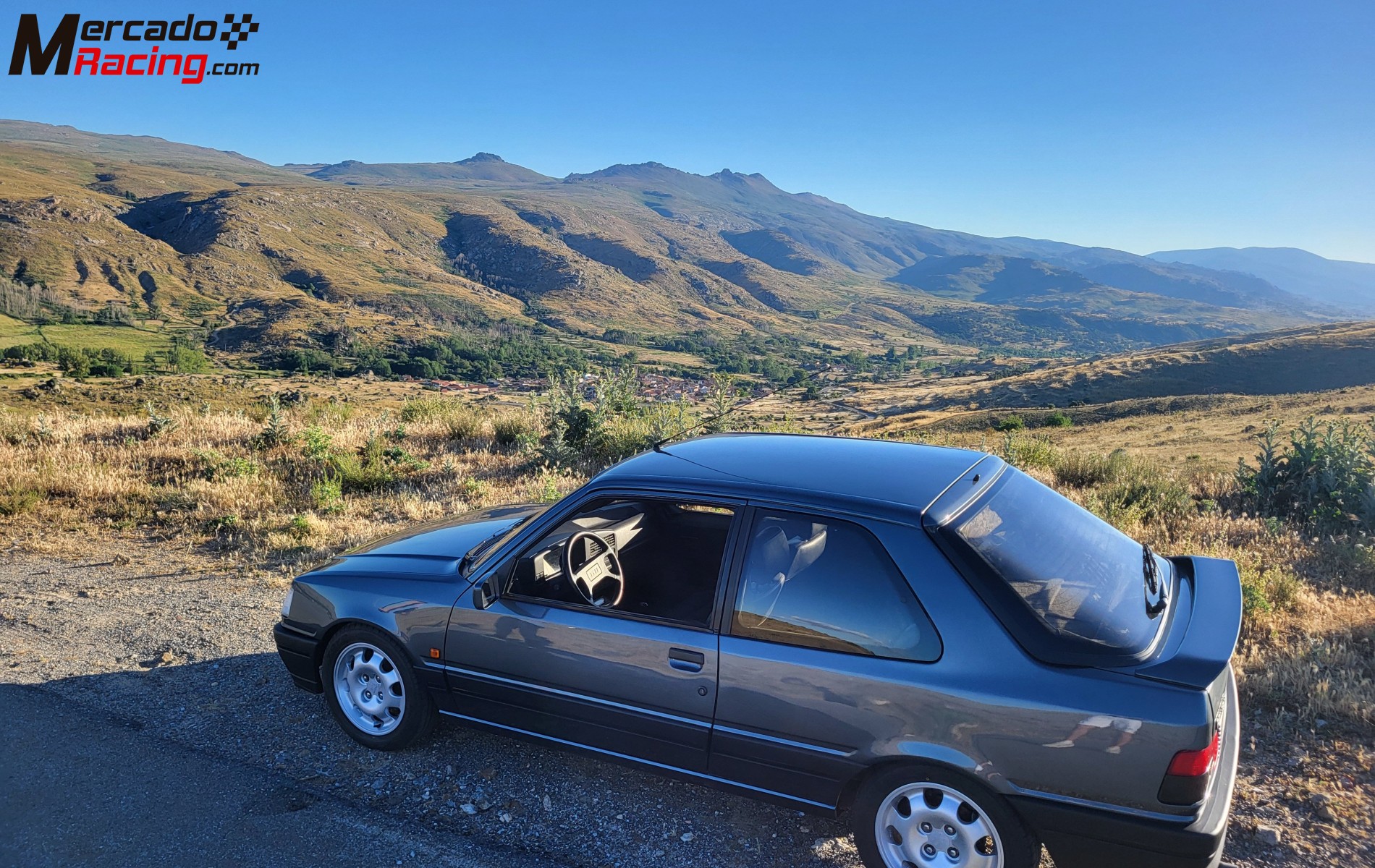 Peugeot 309 gti16