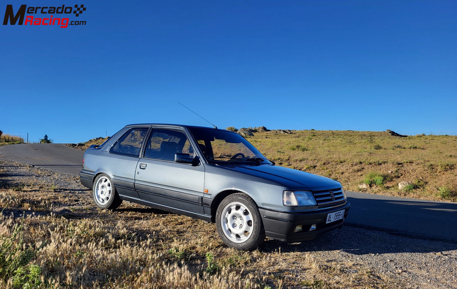 Peugeot 309 gti16