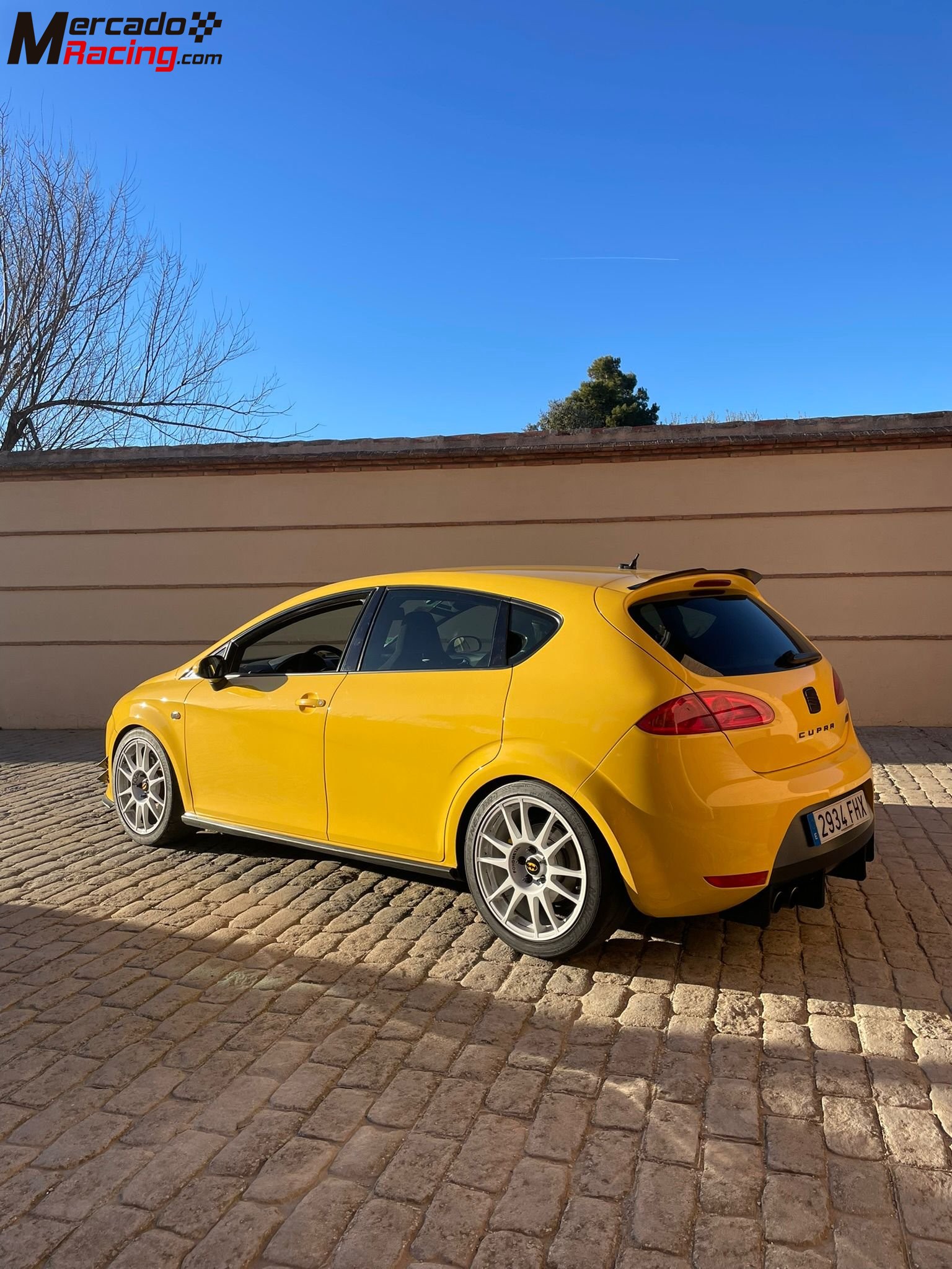 Seat león cupra