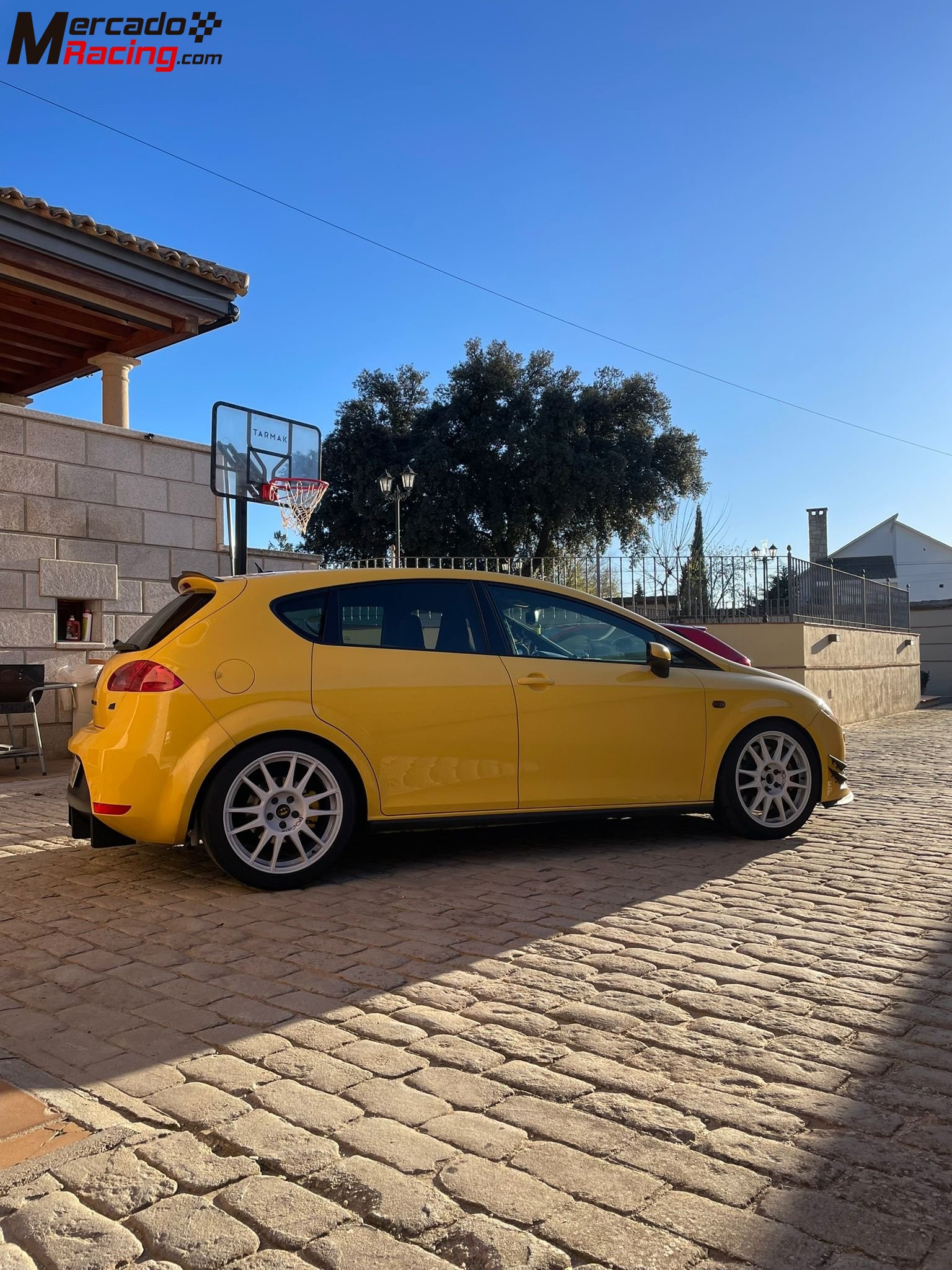 Seat león cupra