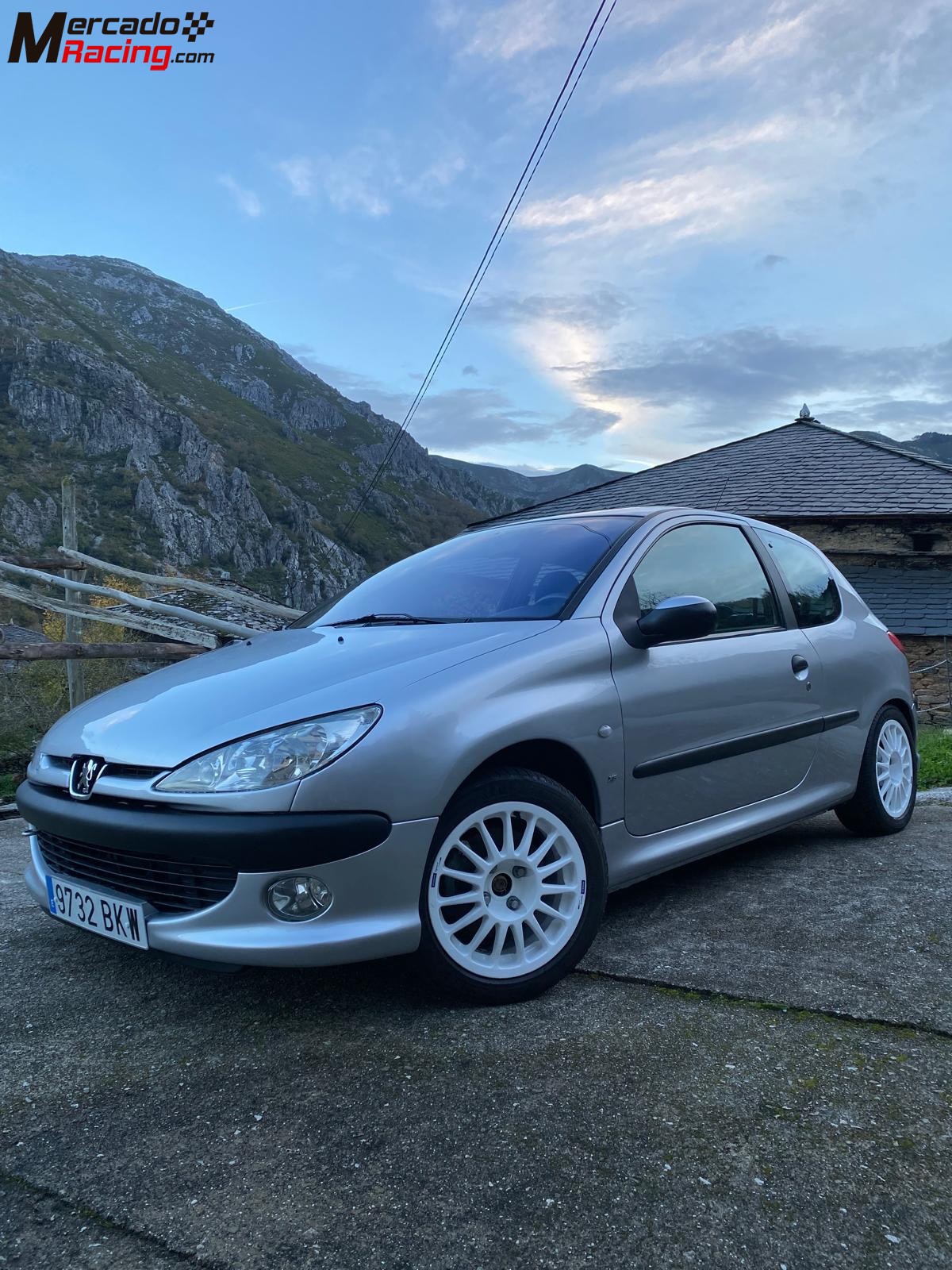 Peugeot 206 xs