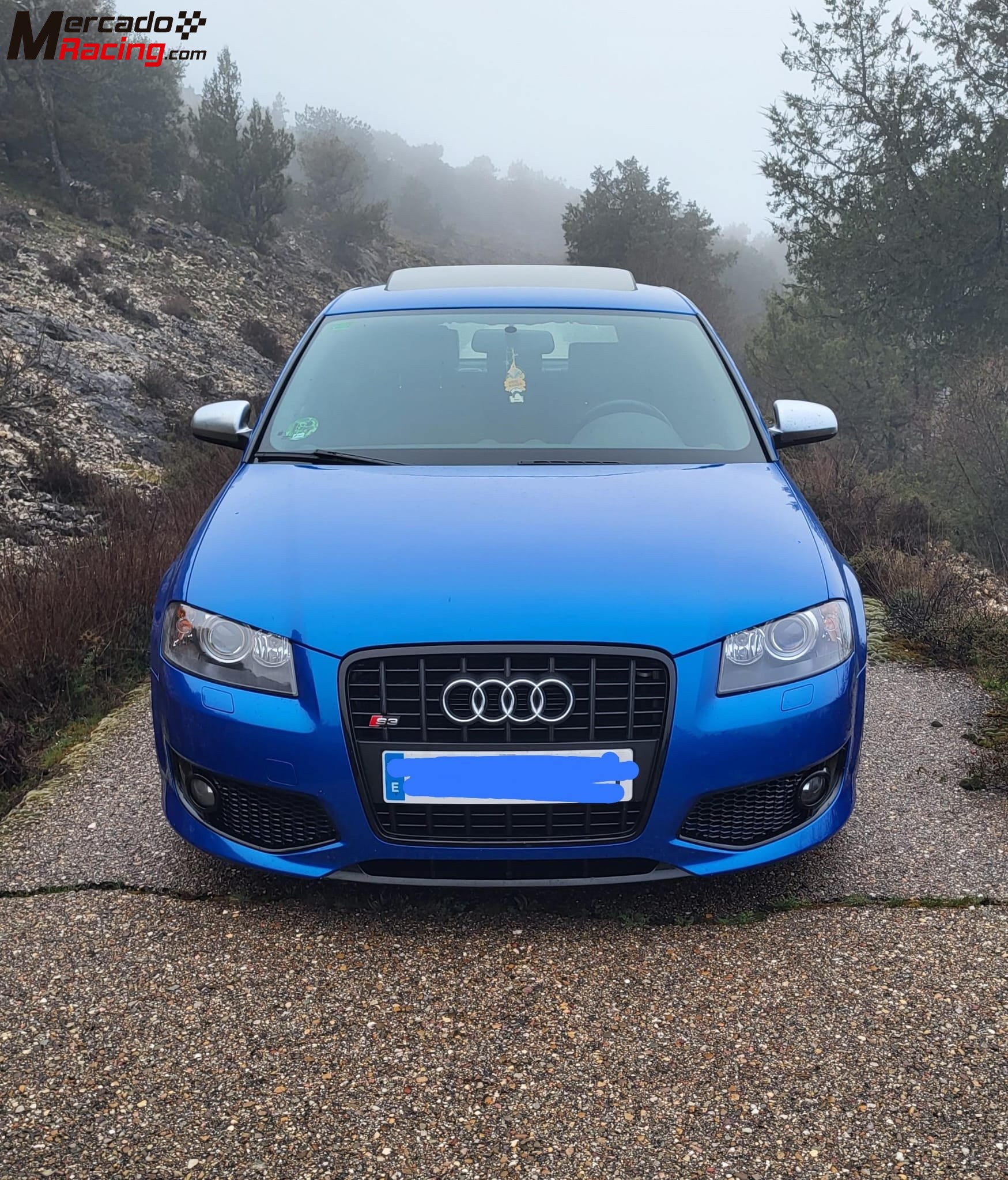 Audi s3 8p 350cv