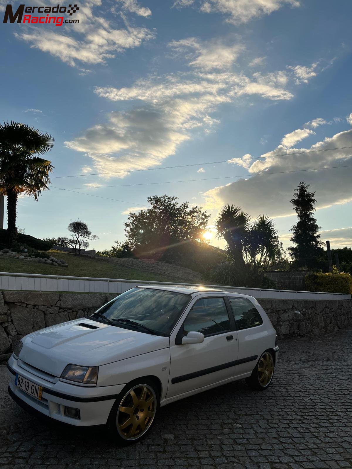 Clio williams (diesel)