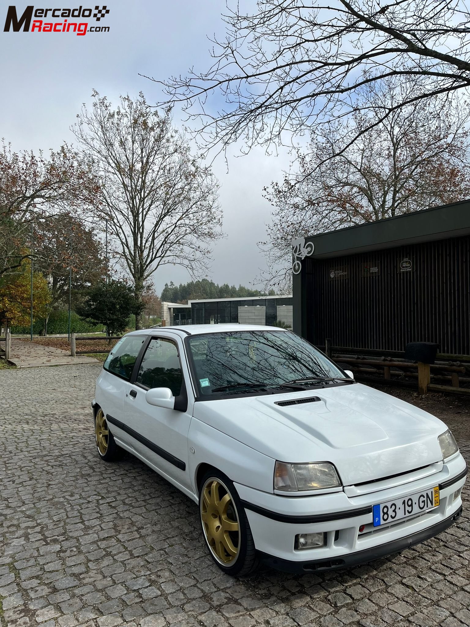 Clio williams (diesel)