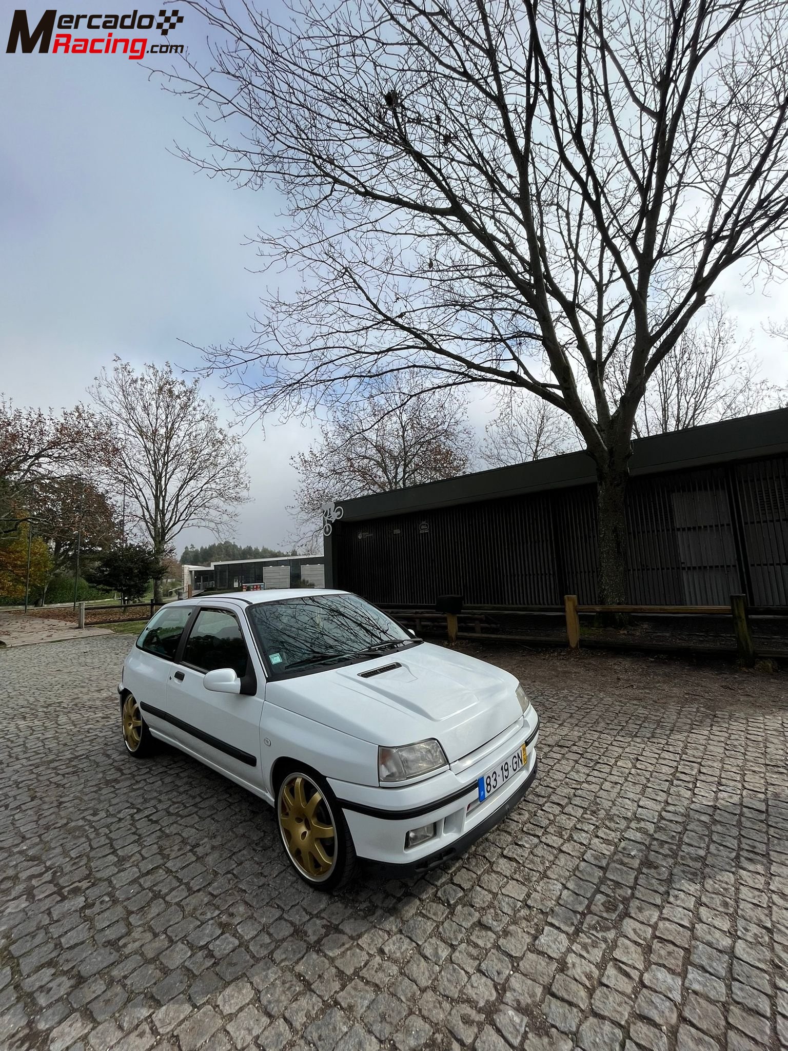 Clio williams (diesel)