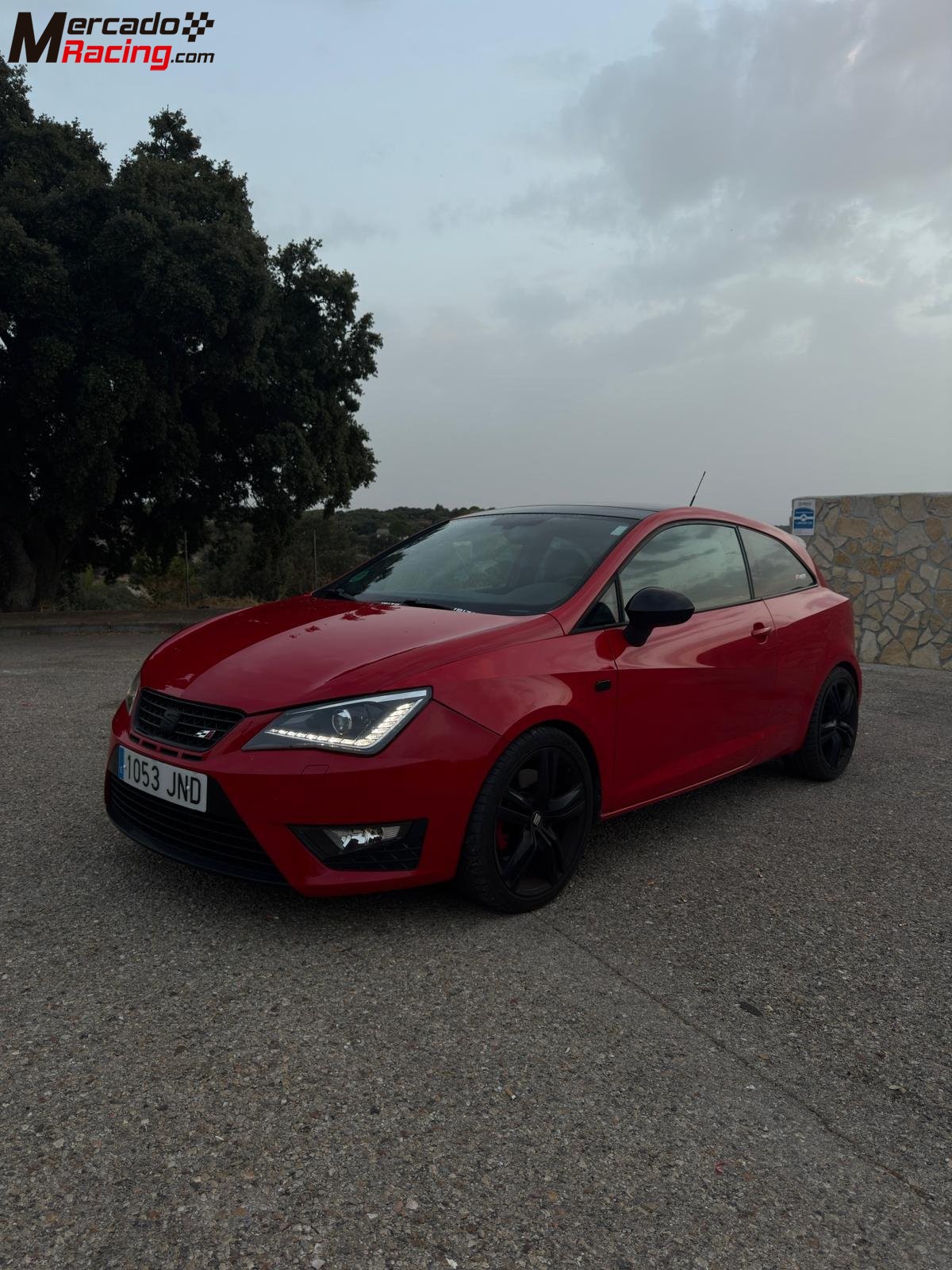 Seat ibiza cupra