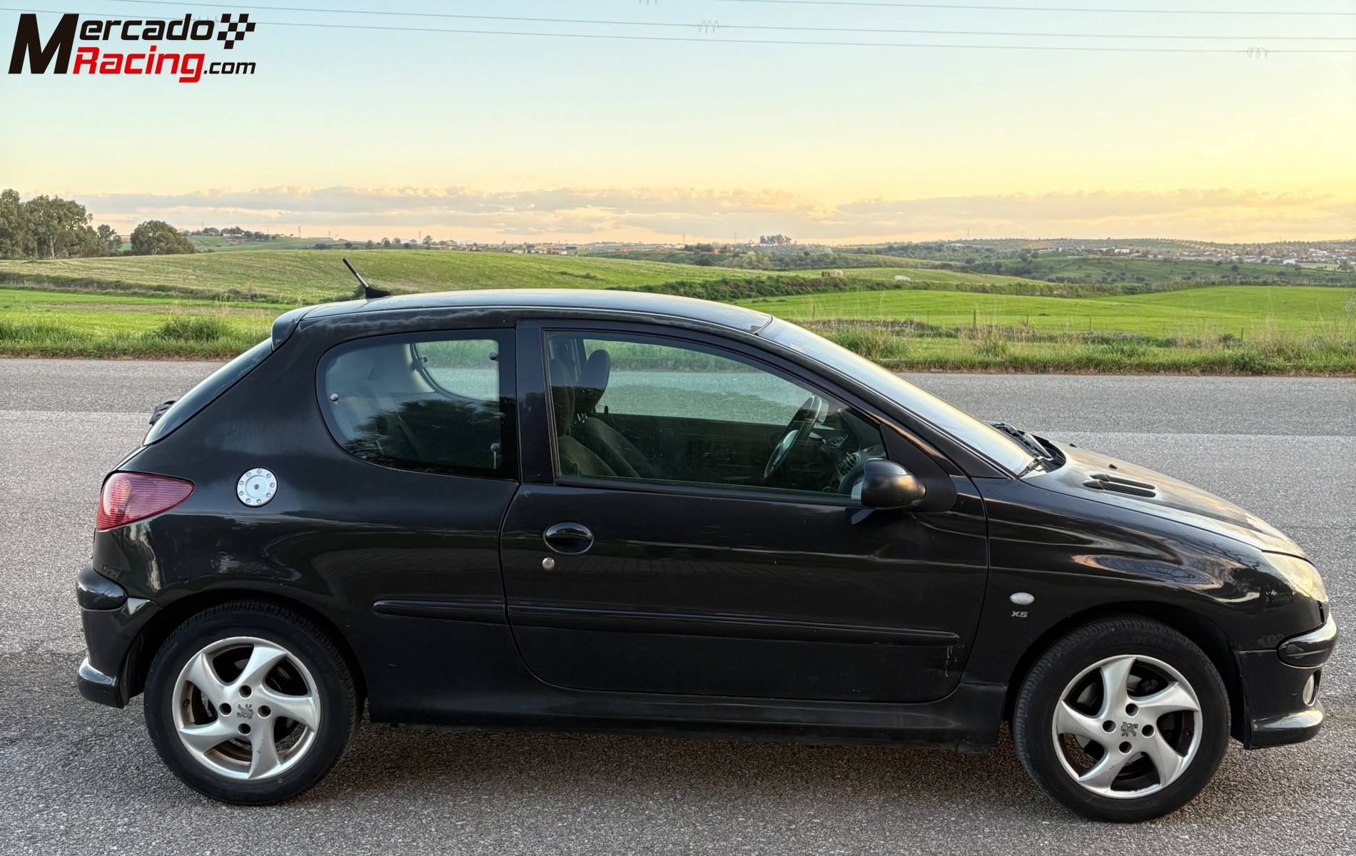 Peugeot 206 xs
