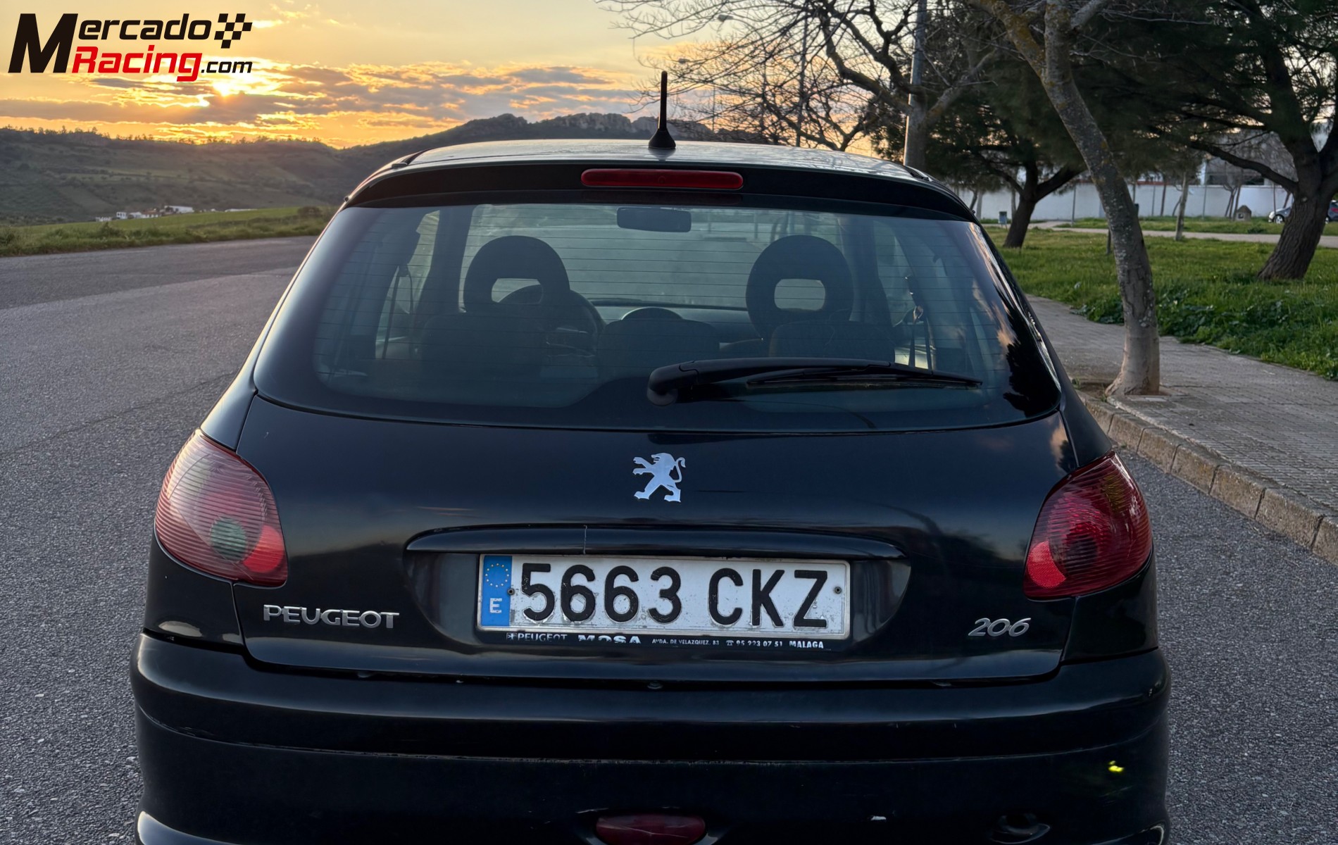 Peugeot 206 xs