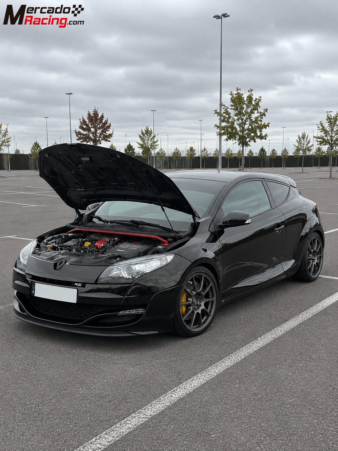 Renault megane 3 rs 327cv (acepto cambios + dinero)