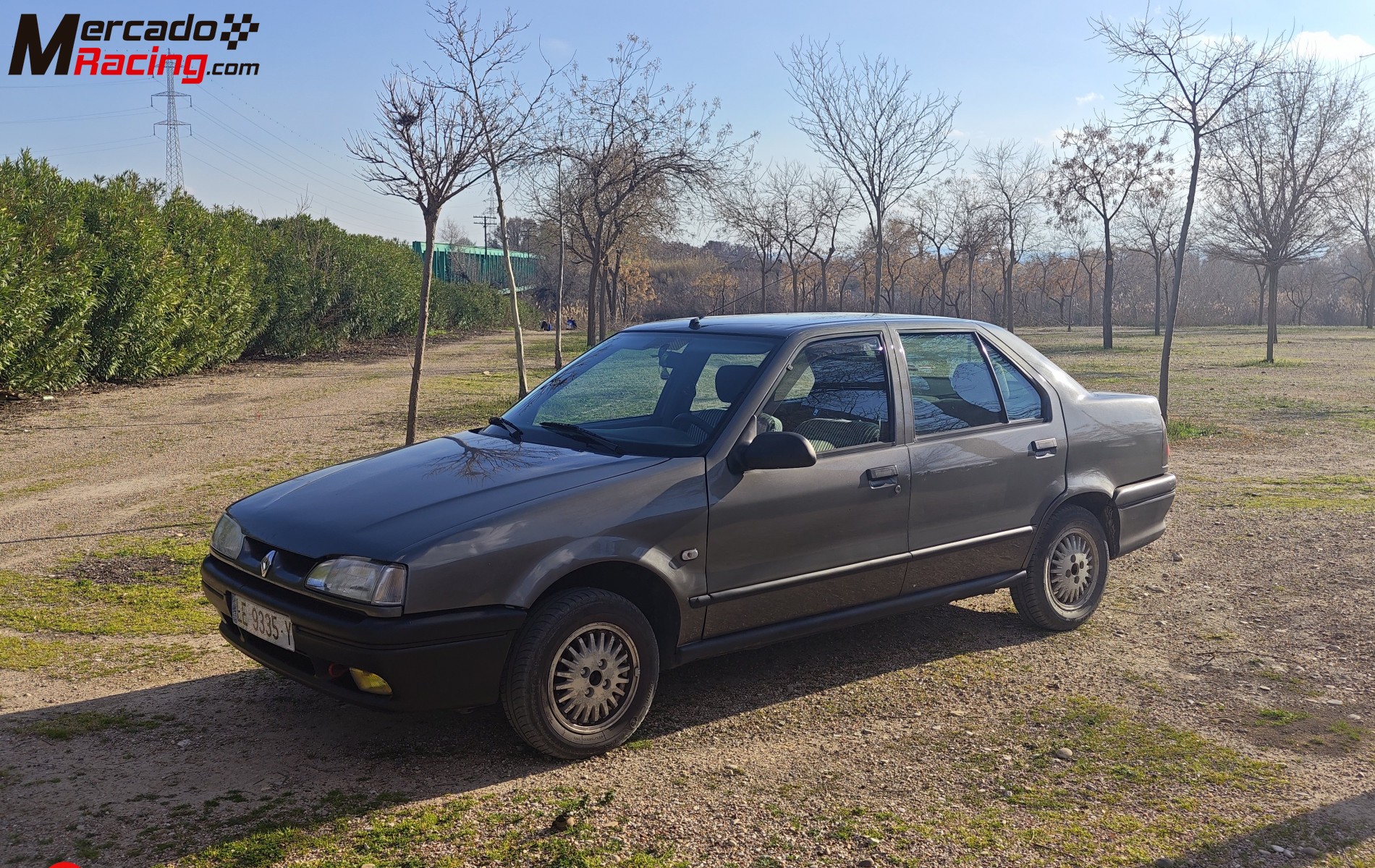 Renault 19