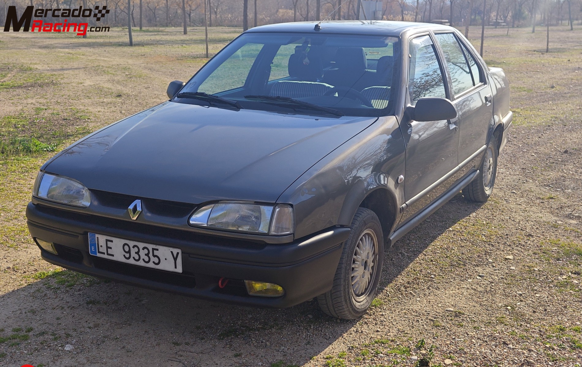 Renault 19