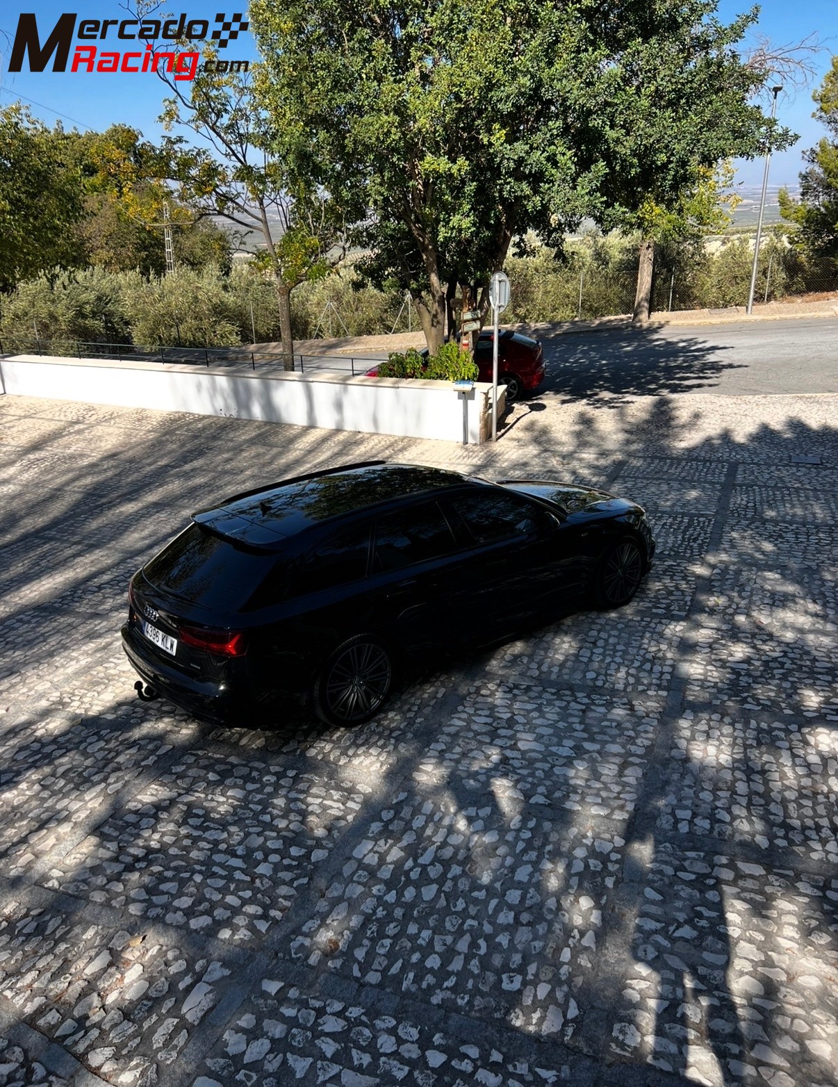 Audi a6 competition 326 hp 3.0 bitdi