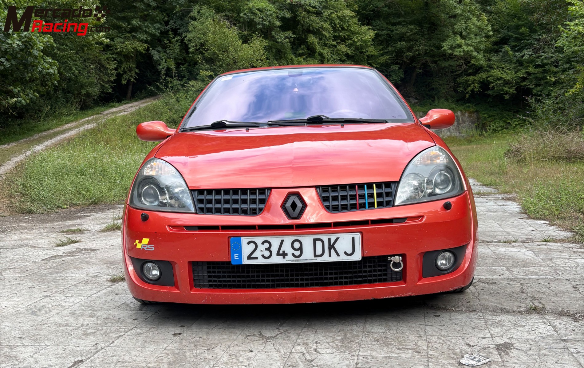 Clio sport 182cv