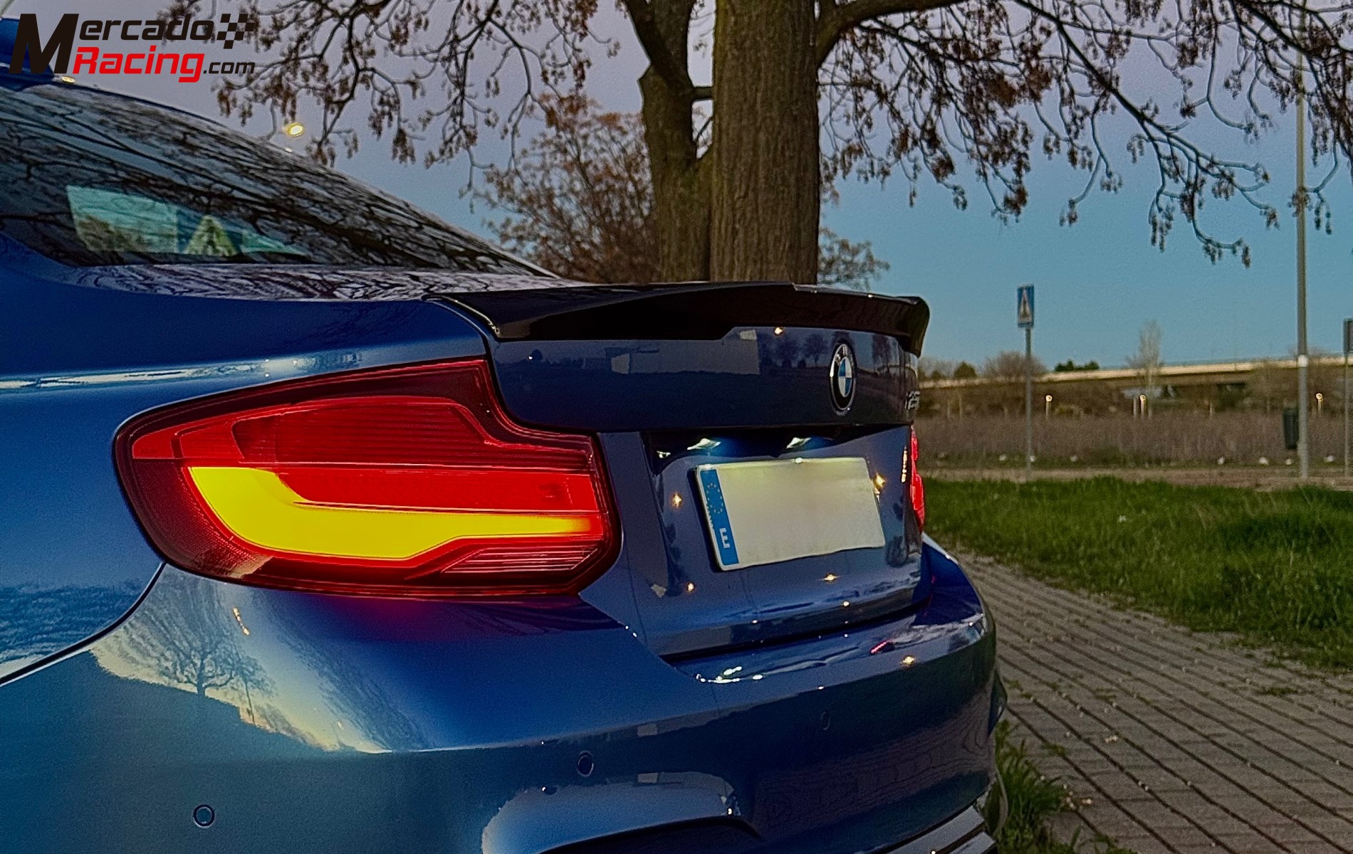 Bmw 230i preparado