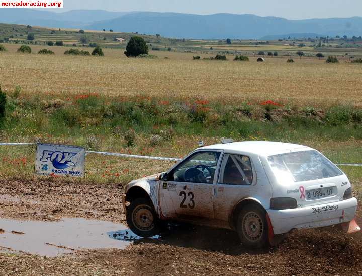 Vendo citroen saxo de tierra