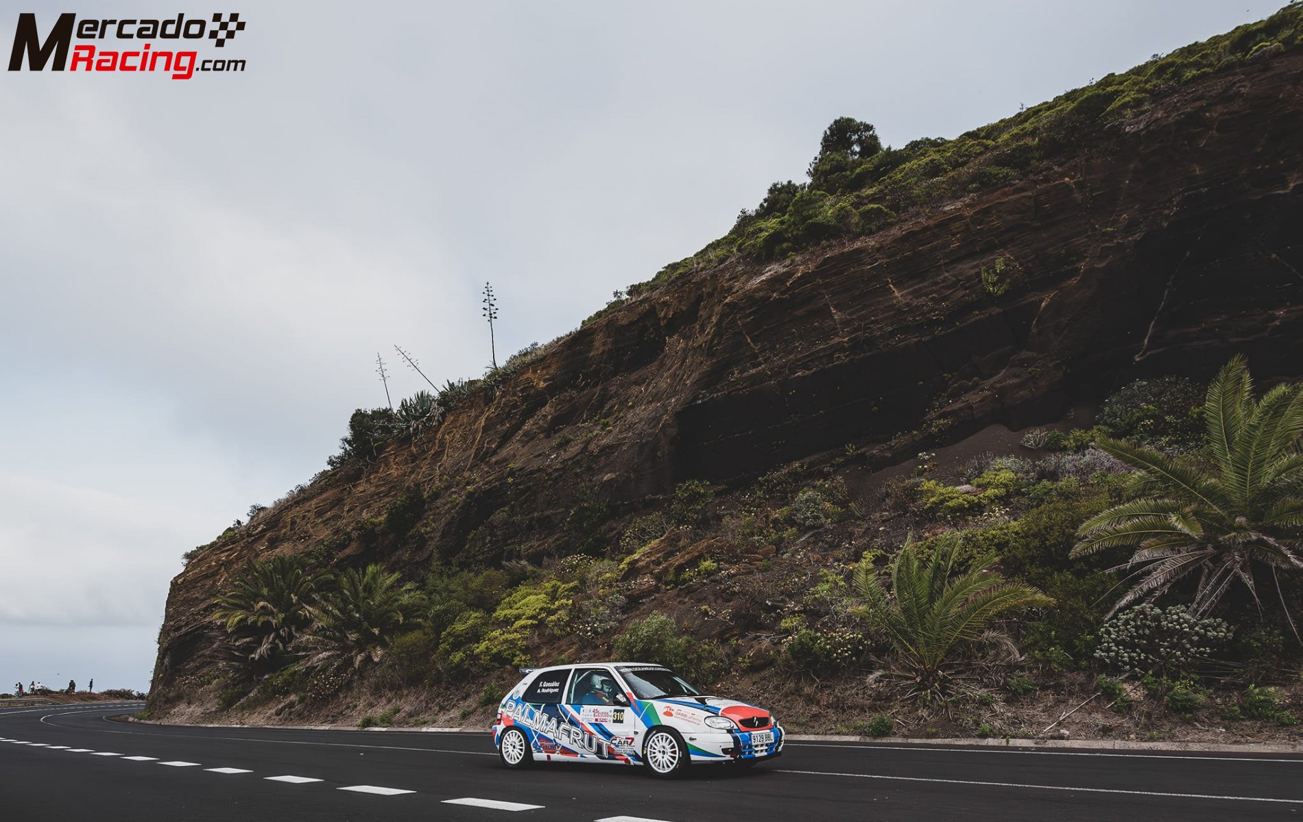 Se vende citroen saxo vts 16v grupo a 