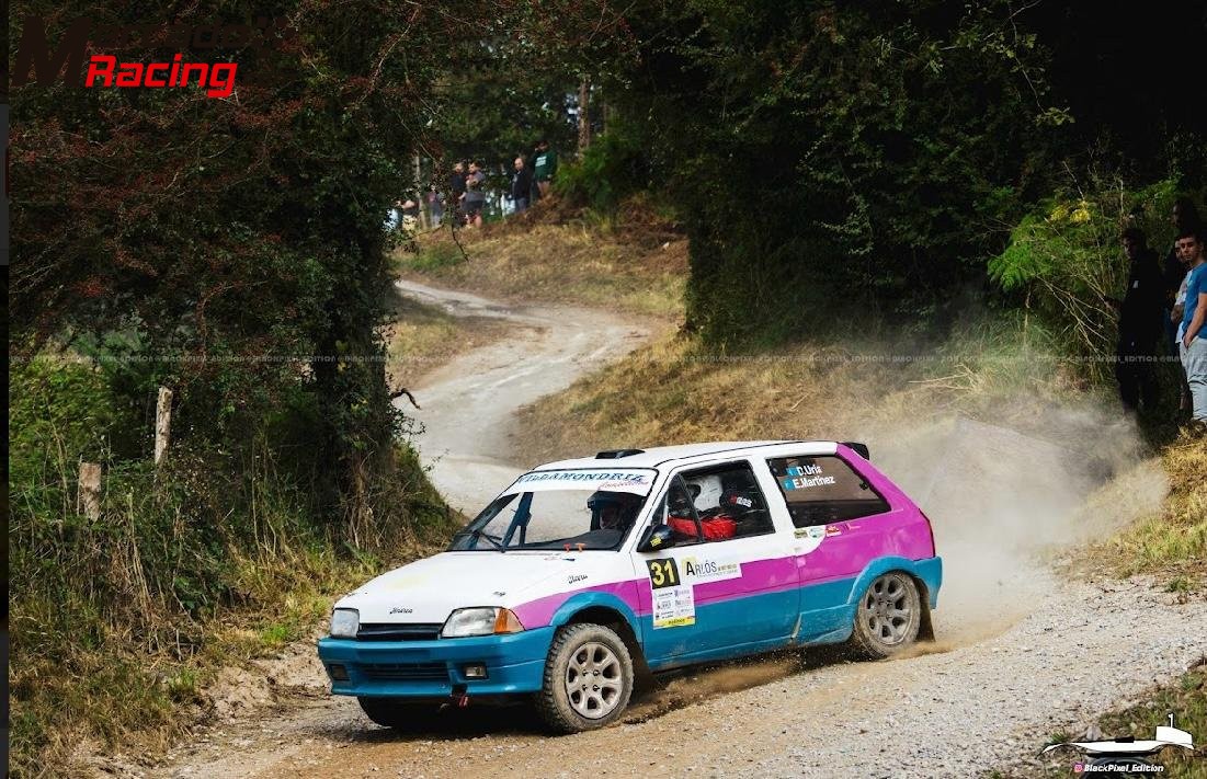 Citroen ax tierra 16v