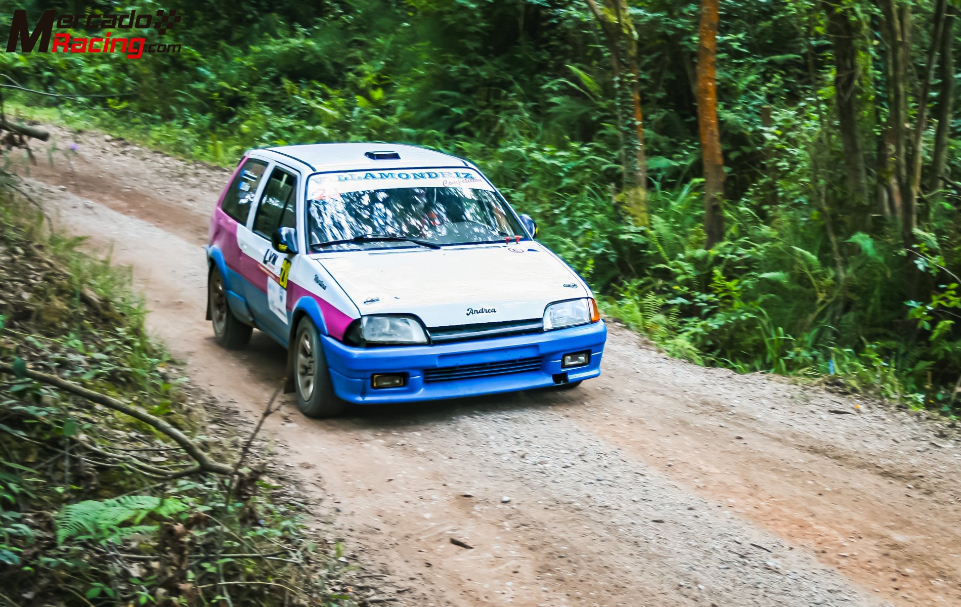 Citroen ax tierra 16v